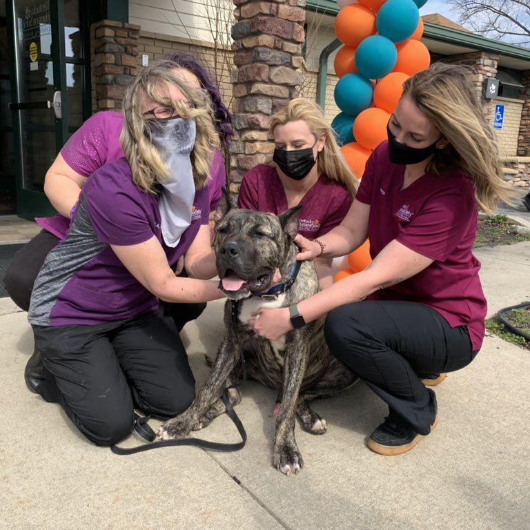 KY HUMANE SOCIETY - ETHAN ADOPTION CEREMONY 3-10-2021 1.jfif